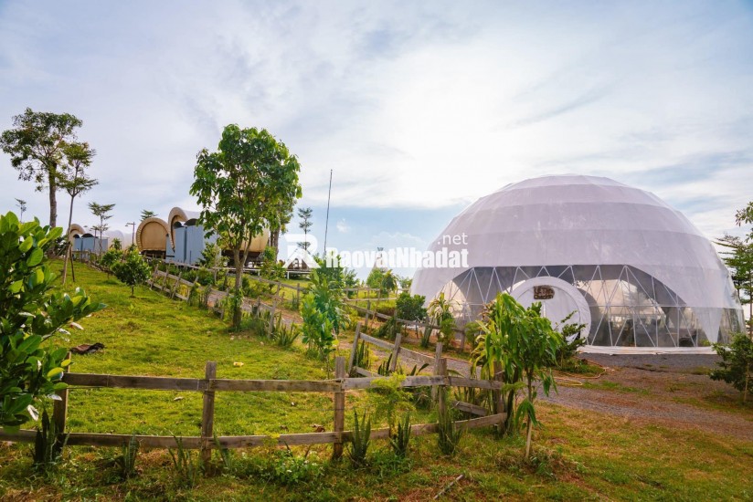 Đất Đẹp La Ngà – Sổ Riêng, View Chill, Đường Ô Tô – Chính Chủ Sang Nhượng